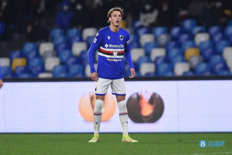 他们凭借高 他们凭借高